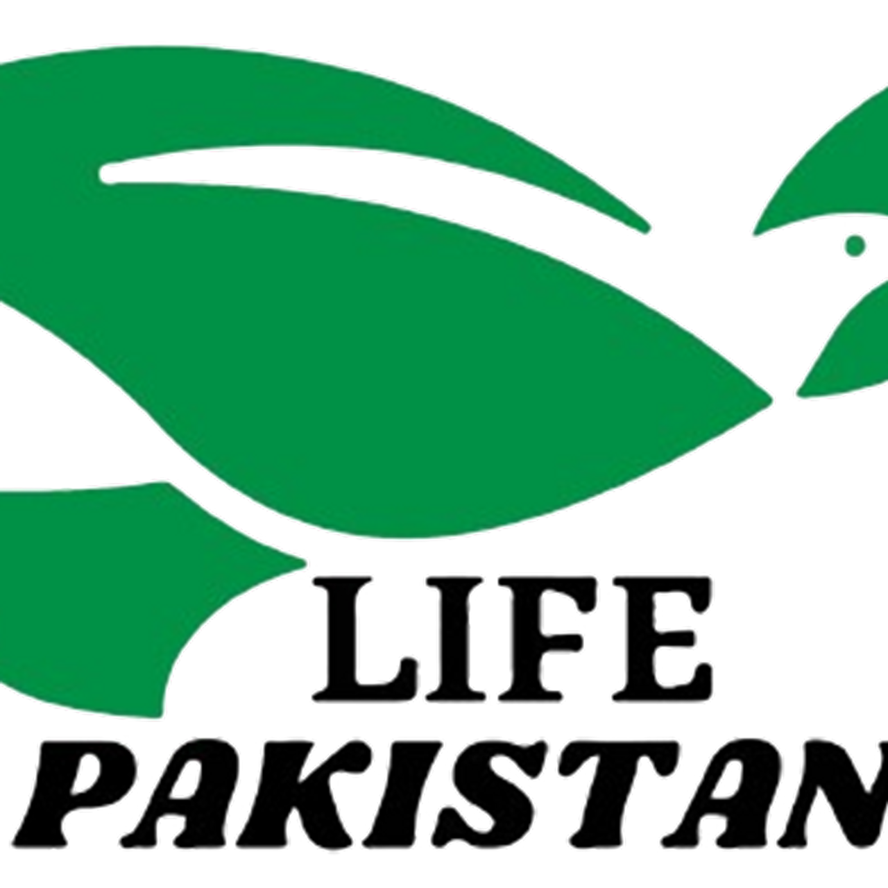 lifepakistani