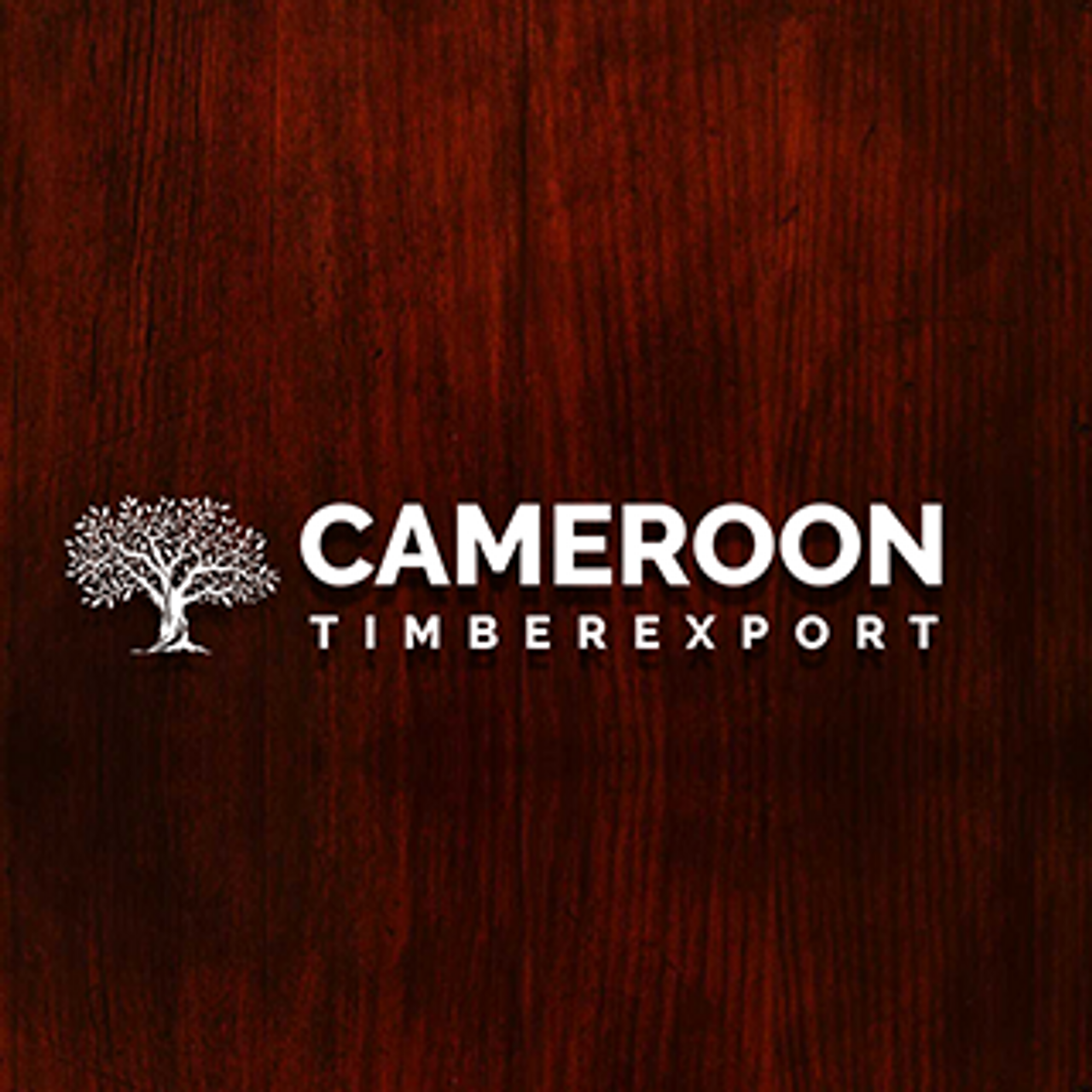 cameroontimber