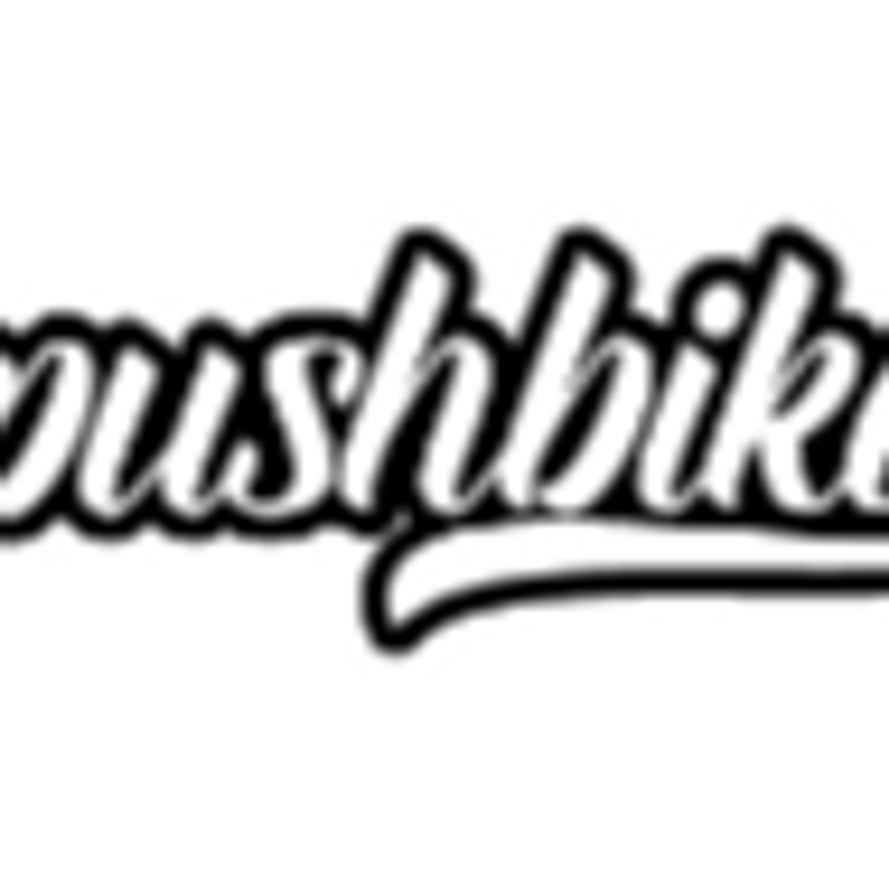 Pushbikes