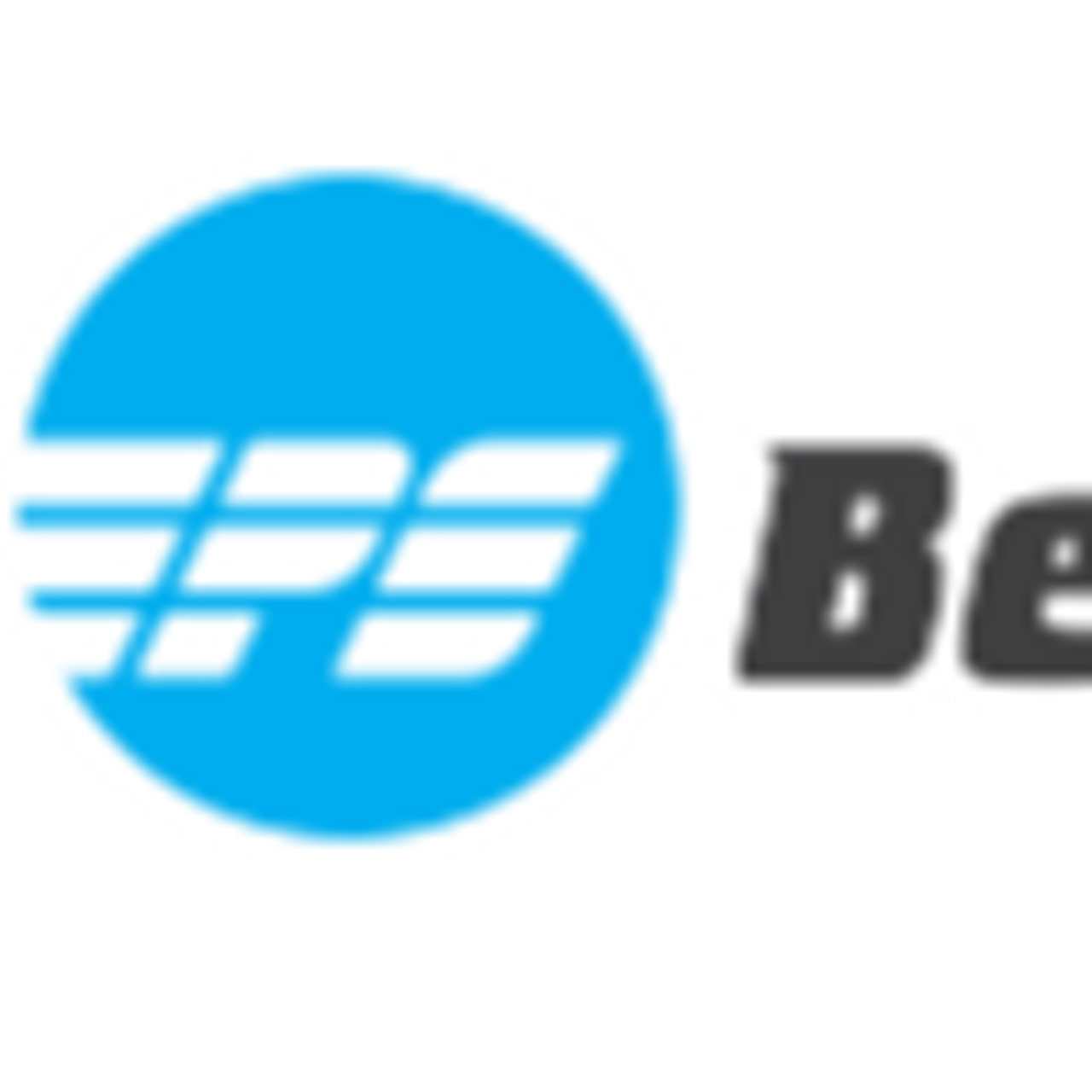 BeaverPlastics