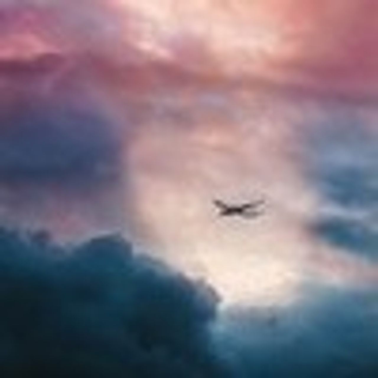 airspolicy