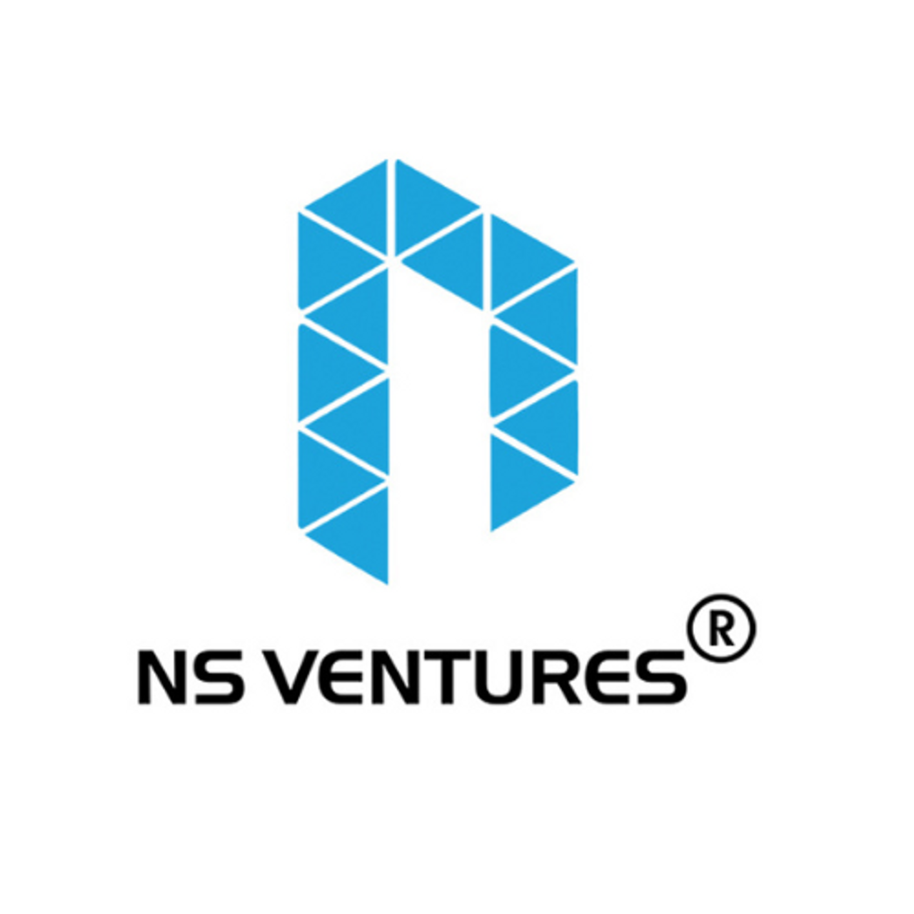 nsventures